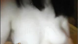 Omegle