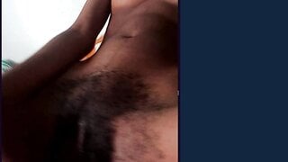 Omchater Flingster Black Latina