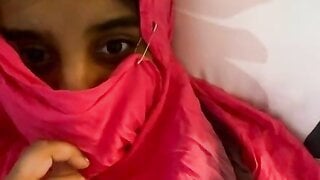 Arabian living in America