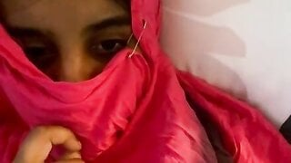 Arabian living in America