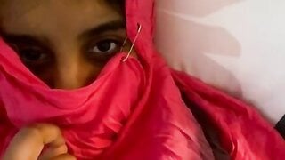 Arabian living in America