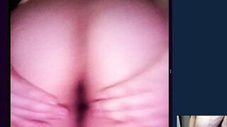 Omchater Flingster Latina