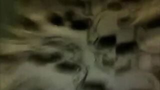 NFL Halftime Is Perfect To Sneek In A Fap At Omegle.Avi